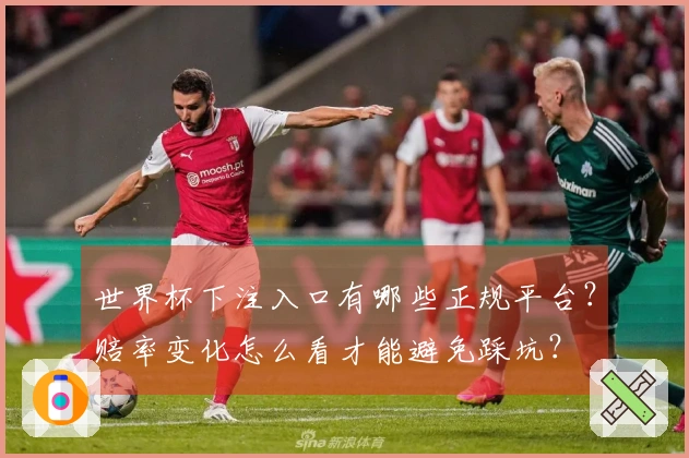 世界杯下注入口有哪些正规平台？赔率变化怎么看才能避免踩坑？
