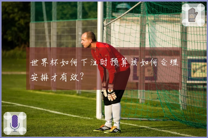 世界杯如何下注时预算该如何合理安排才有效？