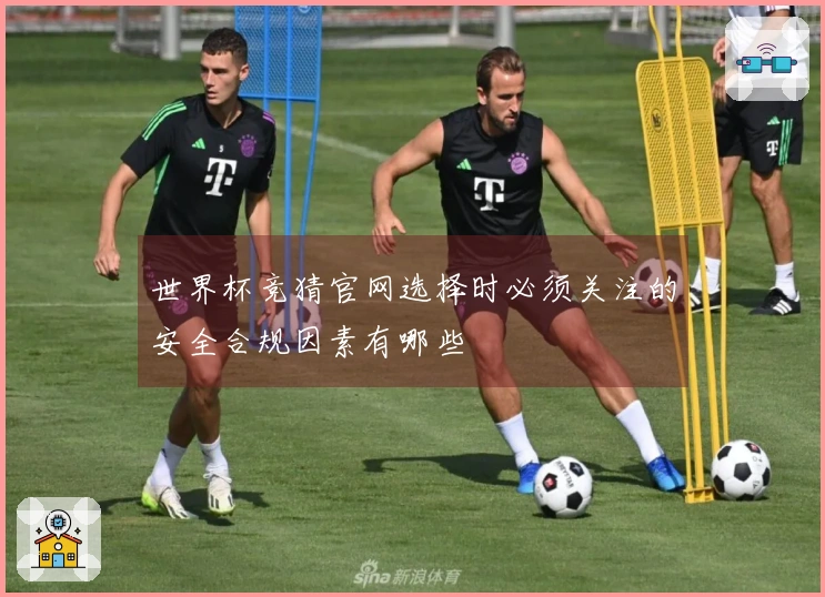 世界杯竞猜官网选择时必须关注的安全合规因素有哪些