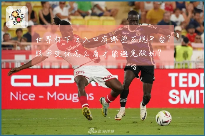 世界杯下注入口有哪些正规平台？赔率变化怎么看才能避免踩坑？